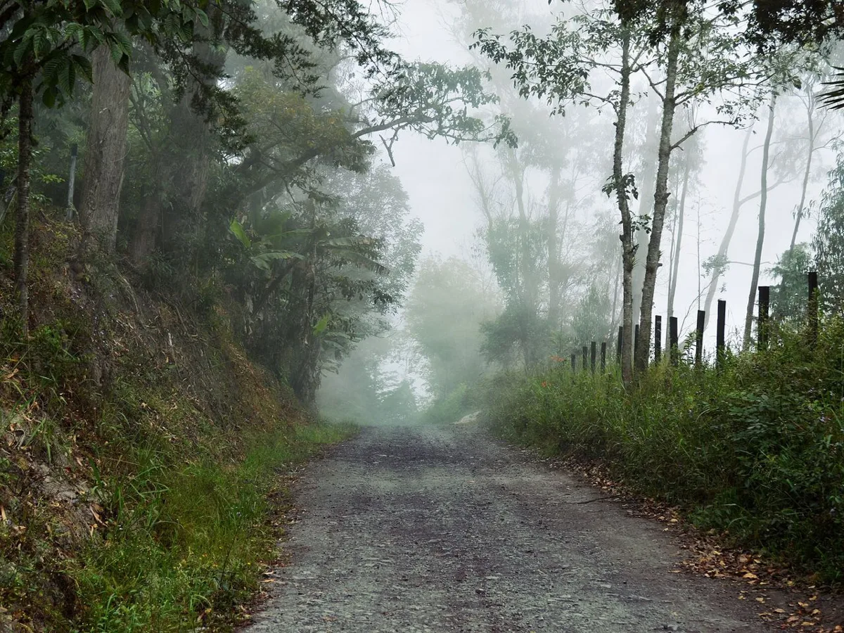 Bici por las veredas